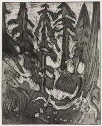 Bergskog
