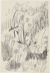 Blomsteräng