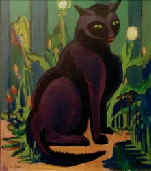 Svart hankatt (katten Bobby)