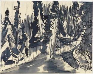 Granskog (studie av bergsskog)