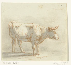 Oxen står, vänd åt höger
