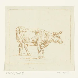Oxen står, vänd åt höger
