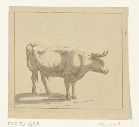 Oxen står, vänd åt höger