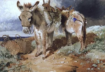 Åsnor, 1855