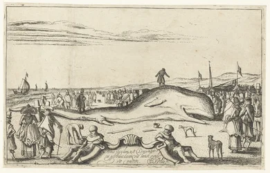Strandad val på stranden i Noordwijk, 1614