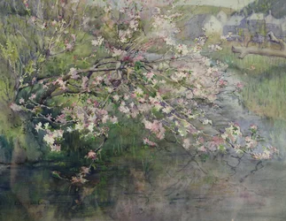 Maj blomma vid floden