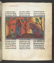 Eller. 607 f174r, Scen från Jungfru Marias liv, från 