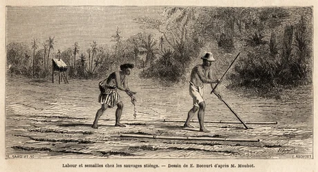 Plöjer och sår bland vildarna Stiengs, invånare i Kambodjas skogar, teckning av E.Bocour, för att illustrera Henri Mouhots resa genom kungadömena Siam, Kambodja och Laos från 1858 till 1861. Gravyr i ”” Le tour du monde”” , redigerad