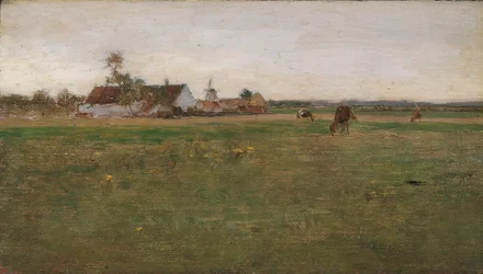 kvällslandskap