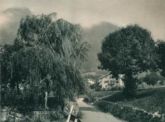 Vägen till Tyrolens slott, Merano, Sydtyrolen, Italien, 1927