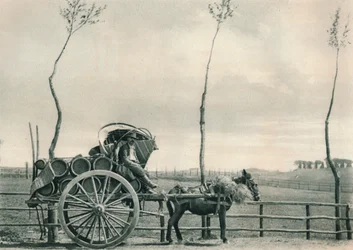 Vinbärare i Campagna, Rom, Italien, 1927