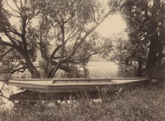 Étang de Corot, Ville-d