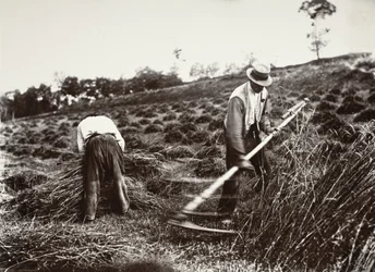 Slåtterfolk, Somme