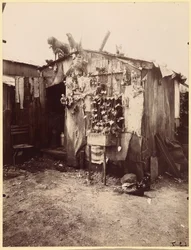 En lumpsamlares hus