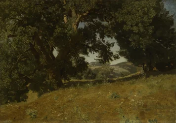 Landskap