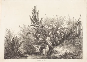 Vattenskräppa, studie