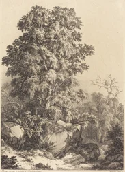 Beech Grove, 1840.