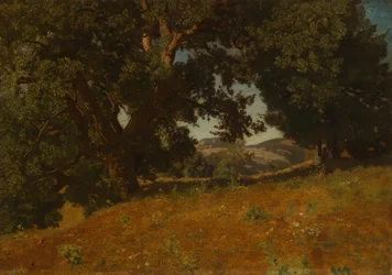 Landskap