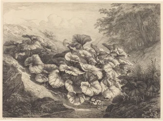 Stor hölfot, 1843.