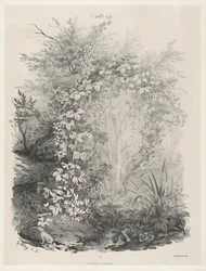 Växter och murgrön vid en ström, 18481849.