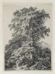 Studier ritade och graverade efter naturen: The Beach, Fontainbleau..., 1840.