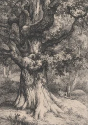 Karl den store, ek med ett örnbo, 1845.