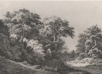 The Edge of the Woods, nära Rambouillet, 1860.