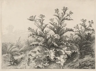Den stora tisteln (Le Grand Chardon)
