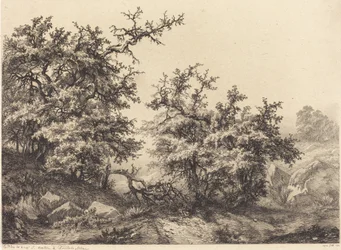 Tornbuskar, 1840.
