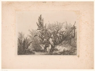Waterzuring en riet aan de oever Vatten tålamod vid den lilla ventilen Studier ritade och graverade från naturen (...) (serietitel)