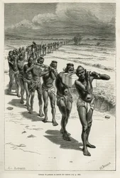Kolonn av bärare genom risfälten, mellan Bassac och Hue, etsad efter en teckning av Eugene Burnand, för att illustrera historien om Laos och de vilda befolkningarna i Indokina, av Dr. Harmand, 1877, publicerad i tour du monde, under det direkta