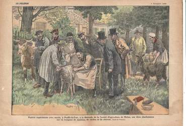 På Pouilly-le-Fort, på begäran av Melun Agricultural Society, testade Pasteur framgångsrikt sitt mjältbrandsvirus på en besättning av får, kor och getter., Le Pèlerin, 1922-11-5 (tryck)