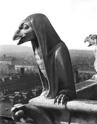Gargoyle från balustraden i Grande Galerie, replika av ett original från 1100-talet (sten) (s/v foto)