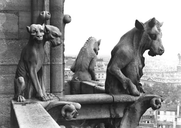 Två gargoyler från balustraden i Grande Galerie på västfasaden, kopia av ett original från 1100-talet (sten) (s/v foto)