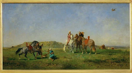 Chasse au faucon en Algerie - Jakt med falkar i ...