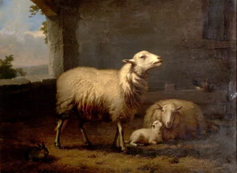 Får, 1876