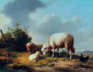 Får och fjäderfä i ett landskap, 1800-talet.