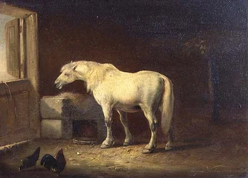 Vit häst i ett stall (panel)