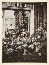 Flower Shop -37 (Flower Shop)