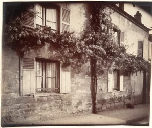 Glycin (Wisteria), Ch?tillon