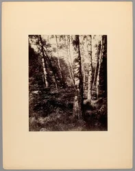 Saint-Cloud Park