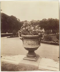 Versailles, Vas av Ballin, 1902.