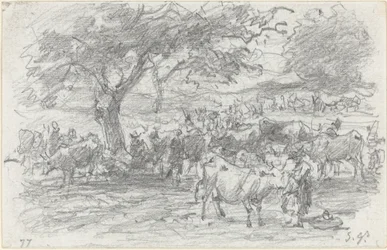 Herdar och boskap