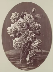 [Rosor], ca. 1875.