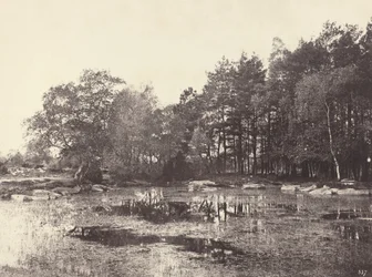 Marsh vid Piat Belle-Croix Plateau, ca. 1863.