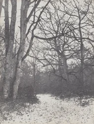 Vägen i skogen, 1860-1863.