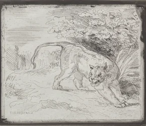 En instängd tiger