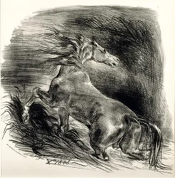 Vildhäst