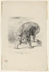 Lion Standing, 1833., 1833.