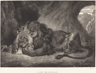 Lion från Atlasbergen Lion de l